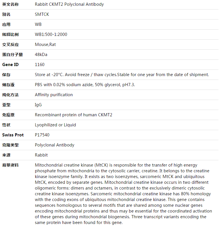 ckmt2 antibody,索莱宝,k003304p-100ul - 四面体科技-实验室一站式
